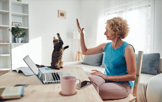 Working out your Work From Home (WFH) expenses – 2025 Rules